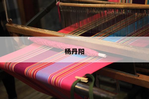 杨丹阳