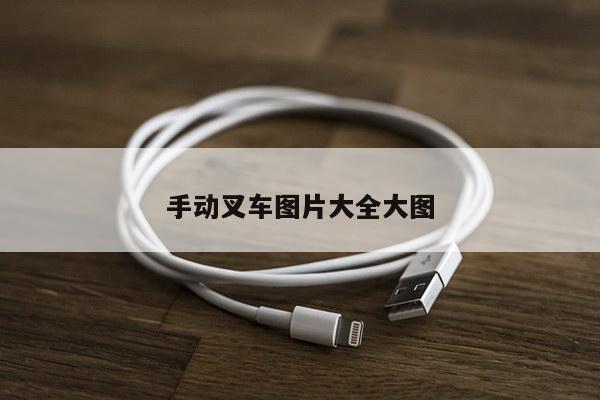 手动叉车图片大全大图