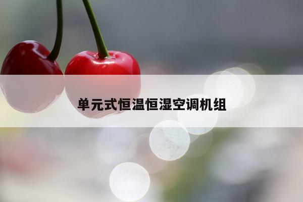 单元式恒温恒湿空调机组