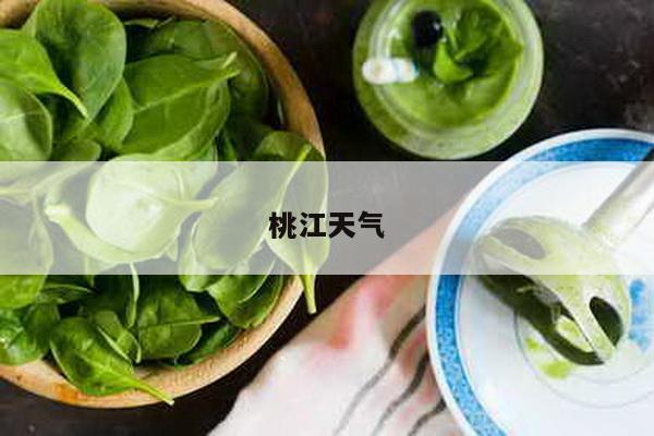 桃江天气