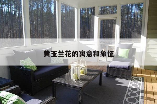 黄玉兰花的寓意和象征