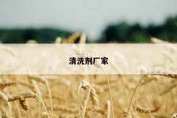 清洗剂厂家