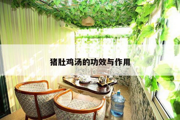 猪肚鸡汤的功效与作用