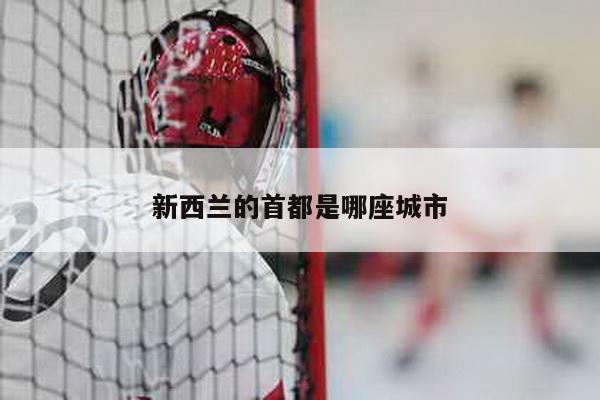 新西兰的首都是哪座城市