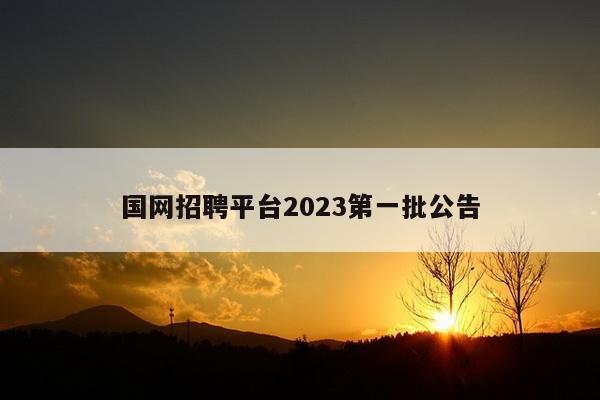 国网招聘平台2023第一批公告