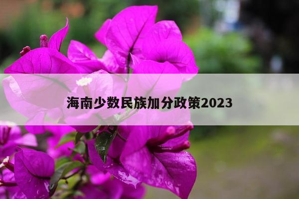 海南少数民族加分政策2023