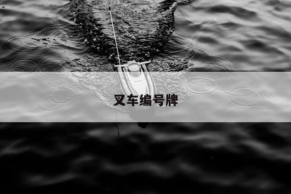 叉车编号牌
