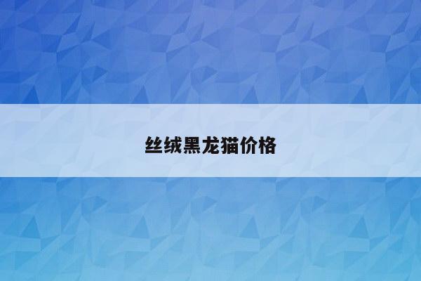 丝绒黑龙猫价格