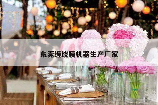 东莞缠绕膜机器生产厂家