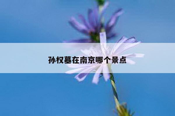 孙权墓在南京哪个景点