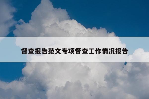 督查报告范文专项督查工作情况报告