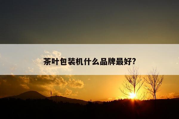 茶叶包装机什么品牌最好?