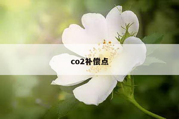 co2补偿点