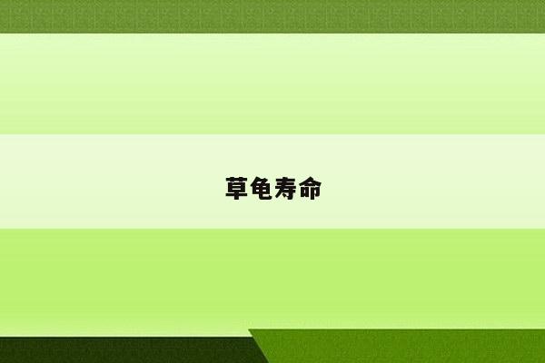 草龟寿命