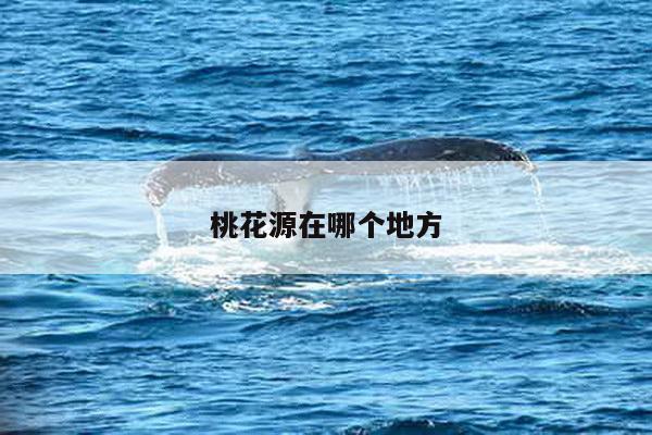 桃花源在哪个地方