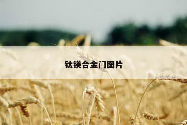 钛镁合金门图片