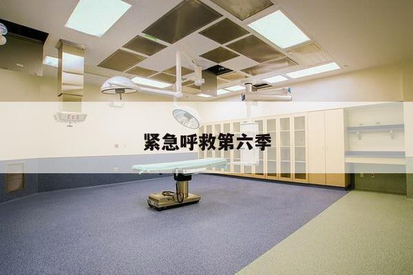 紧急呼救第六季