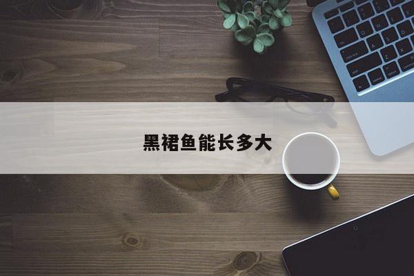 黑裙鱼能长多大