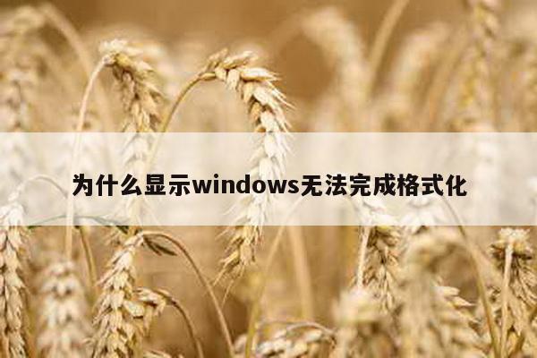 为什么显示windows无法完成格式化