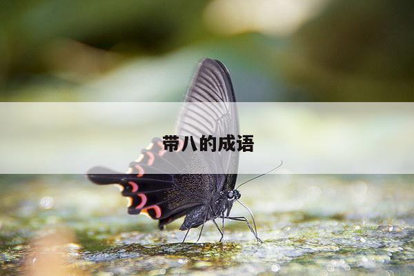 带八的成语