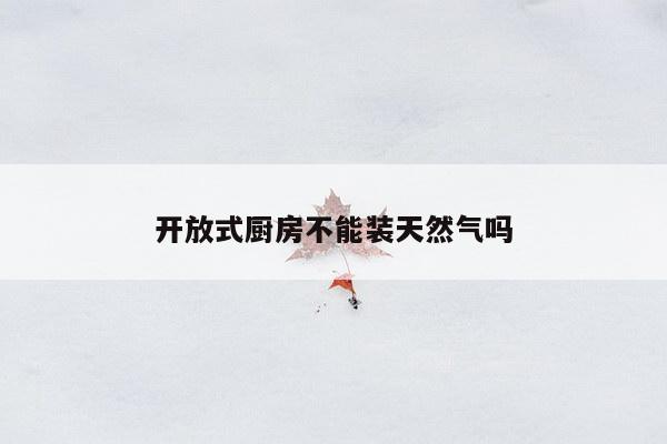 开放式厨房不能装天然气吗