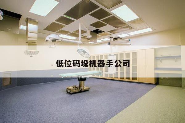 低位码垛机器手公司