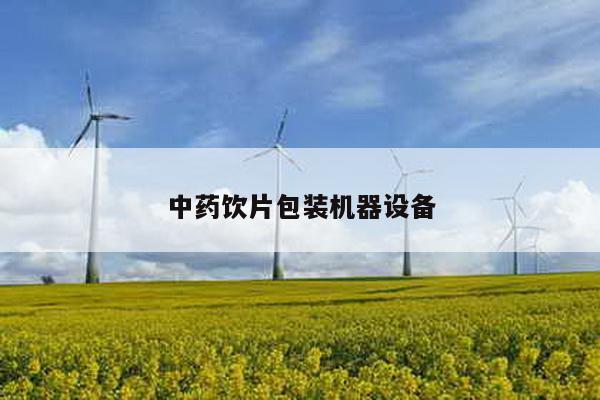 中药饮片包装机器设备