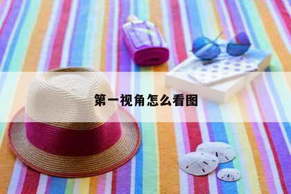 第一视角怎么看图