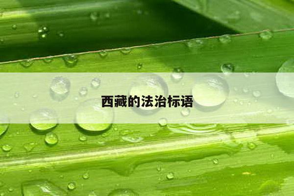 西藏的法治标语