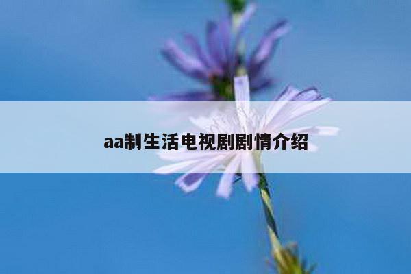 aa制生活电视剧剧情介绍
