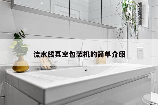 流水线真空包装机的简单介绍