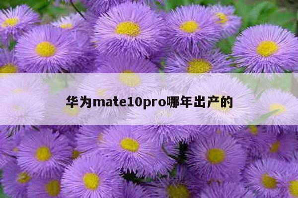 华为mate10pro哪年出产的