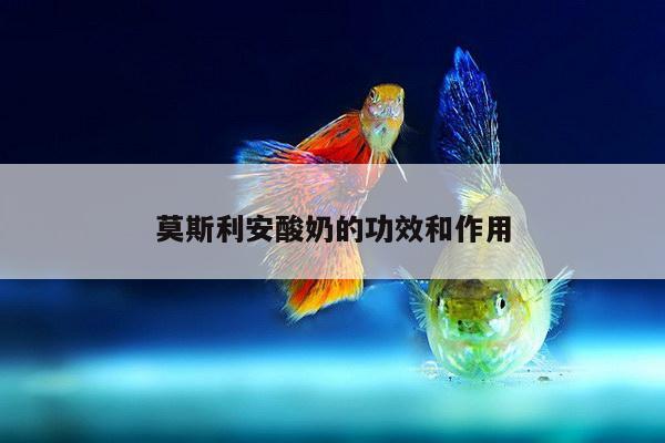 莫斯利安酸奶的功效和作用