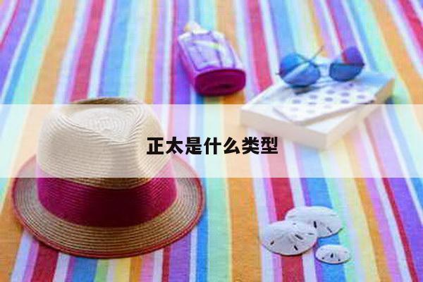 正太是什么类型