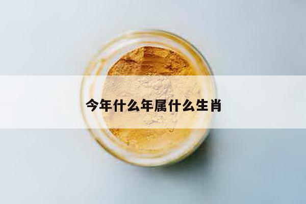 今年什么年属什么生肖