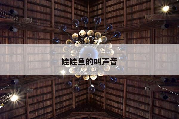 娃娃鱼的叫声音