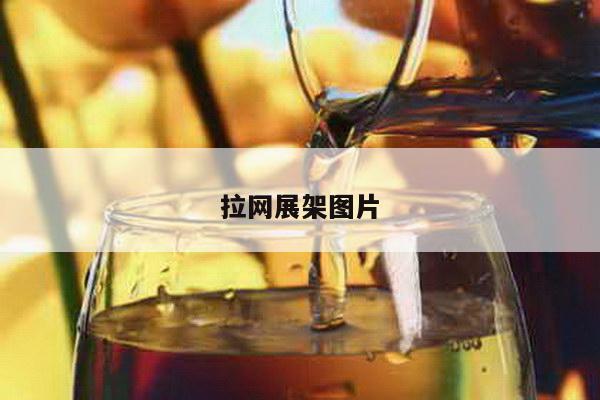 拉网展架图片