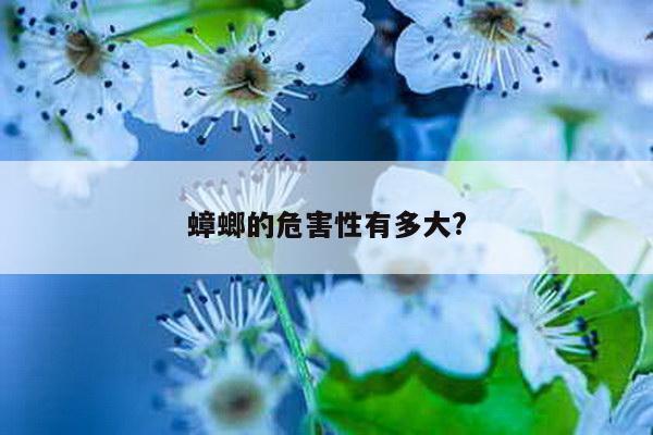 蟑螂的危害性有多大?