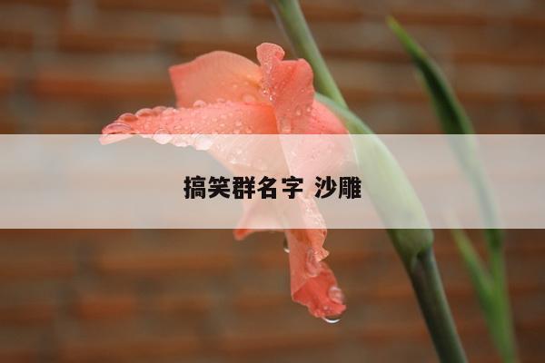 搞笑群名字 沙雕
