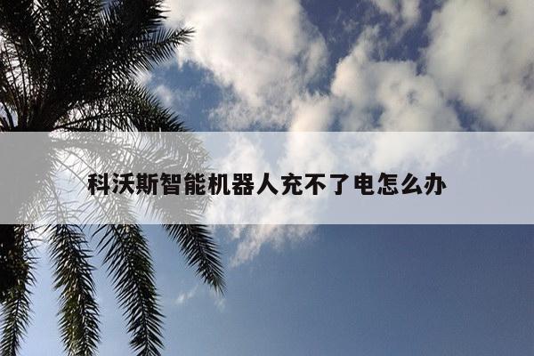 科沃斯智能机器人充不了电怎么办