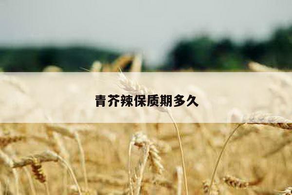 青芥辣保质期多久