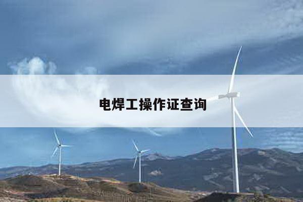 电焊工操作证查询