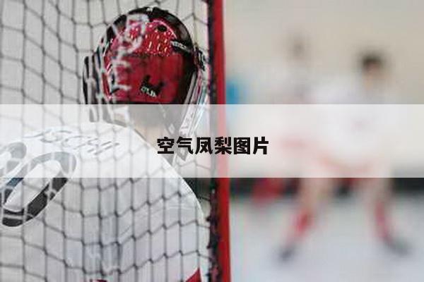 空气凤梨图片