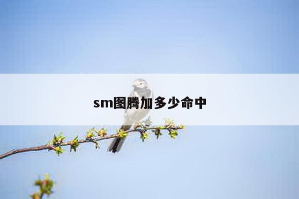 sm图腾加多少命中