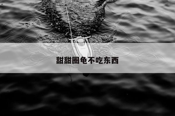 甜甜圈龟不吃东西