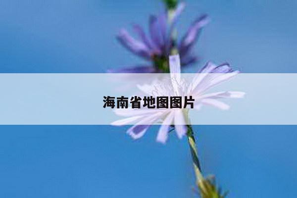 海南省地图图片