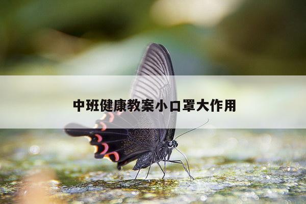 中班健康教案小口罩大作用