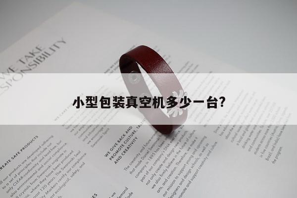 小型包装真空机多少一台?