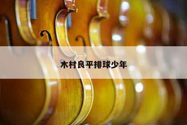 木村良平排球少年