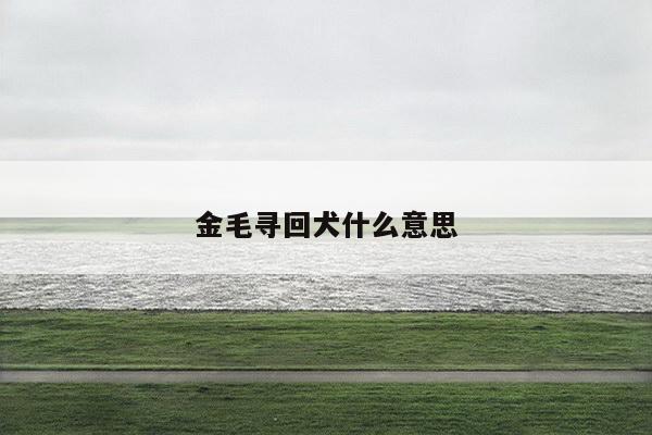 金毛寻回犬什么意思